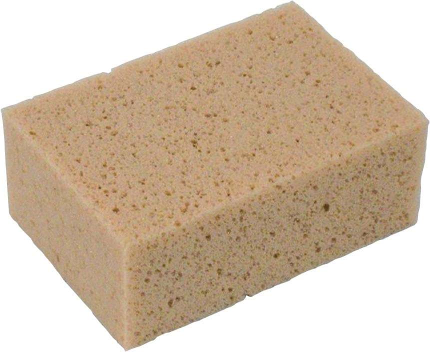 Schwämme