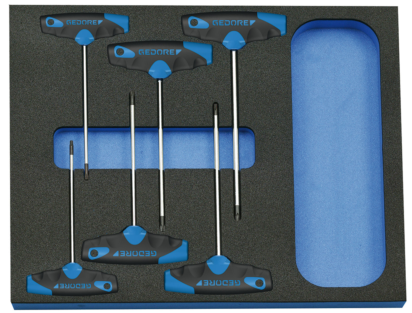 2005 CT2-2142 TX Schraubendreher-Satz in 2/4 Check-Tool-Modul