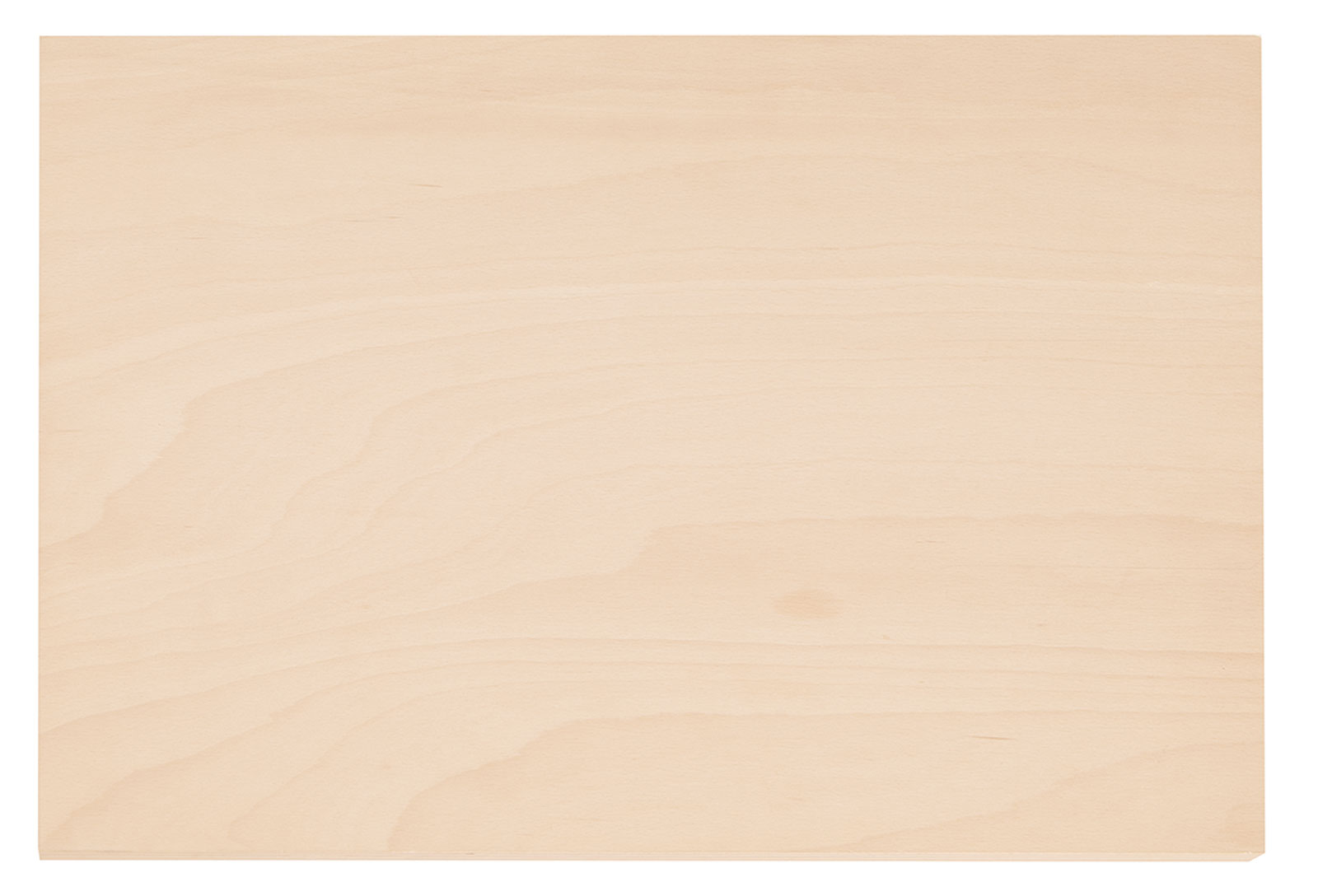 1110 WMHP 2 Holz-Arbeitsplatte für WorkMo B2