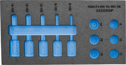 Bild von EI-1500 CT1-INX 19 L Check-Tool-Modul leer