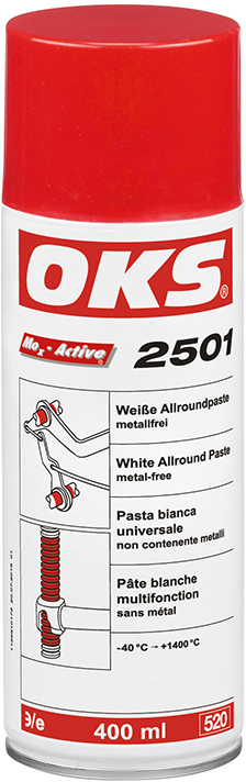 Images de la catégorie OKS® 2501 Weiße Allround-Paste, metallfrei, Spray