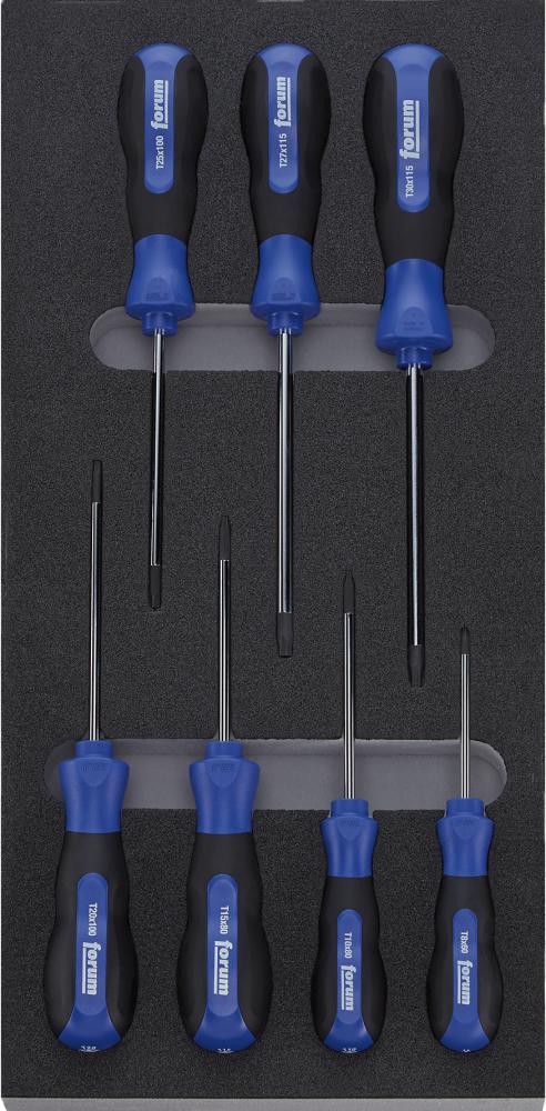 Werkzeugmodul Schraubendreher für TORX